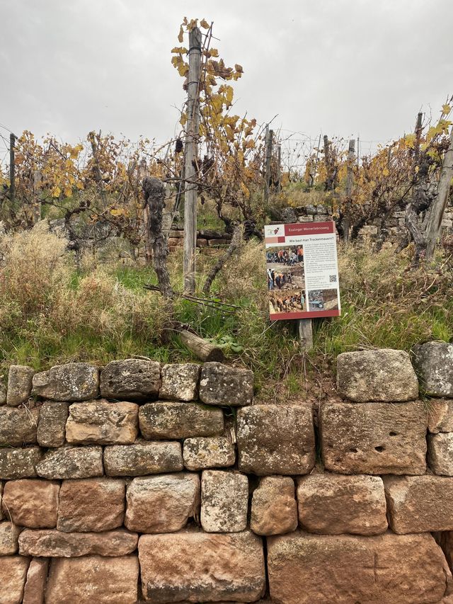 Steillagen brauchen Unterstützung