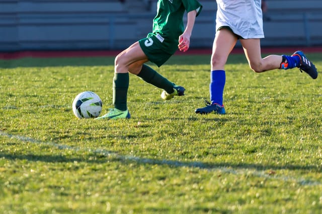 Landessportverband